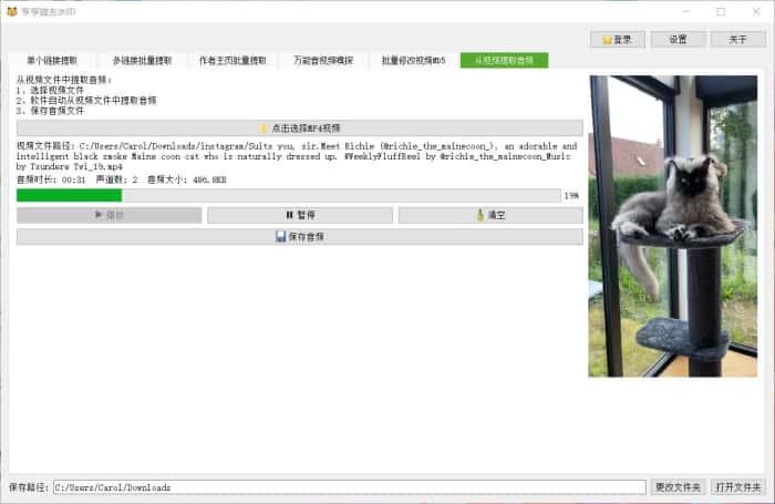 哼哼猫去水印电脑版v3.6.1免费下载 哼哼猫去水印电脑版v3.6.1免费下载