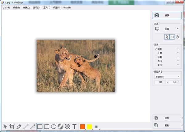 WinSnap屏幕截图工具v6.2.2中文版