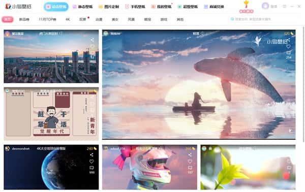 小鸟壁纸电脑版v3.1124.2450.1016官方版