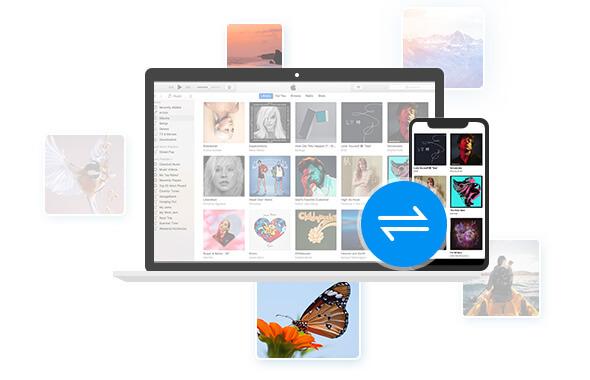 Aiseesoft FoneTrans(iOS数据传输软件)v9.3.50官方版 Aiseesoft FoneTrans(iOS数据传输软件)v9.3.50官方版