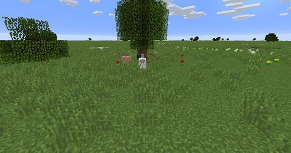 我的世界国际基岩版 1.20.4024 最新官方版 我的世界国际基岩版 1.20.4024 最新官方版