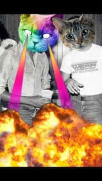 CatWang安卓版v3.2最新版 CatWang安卓版v3.2最新版